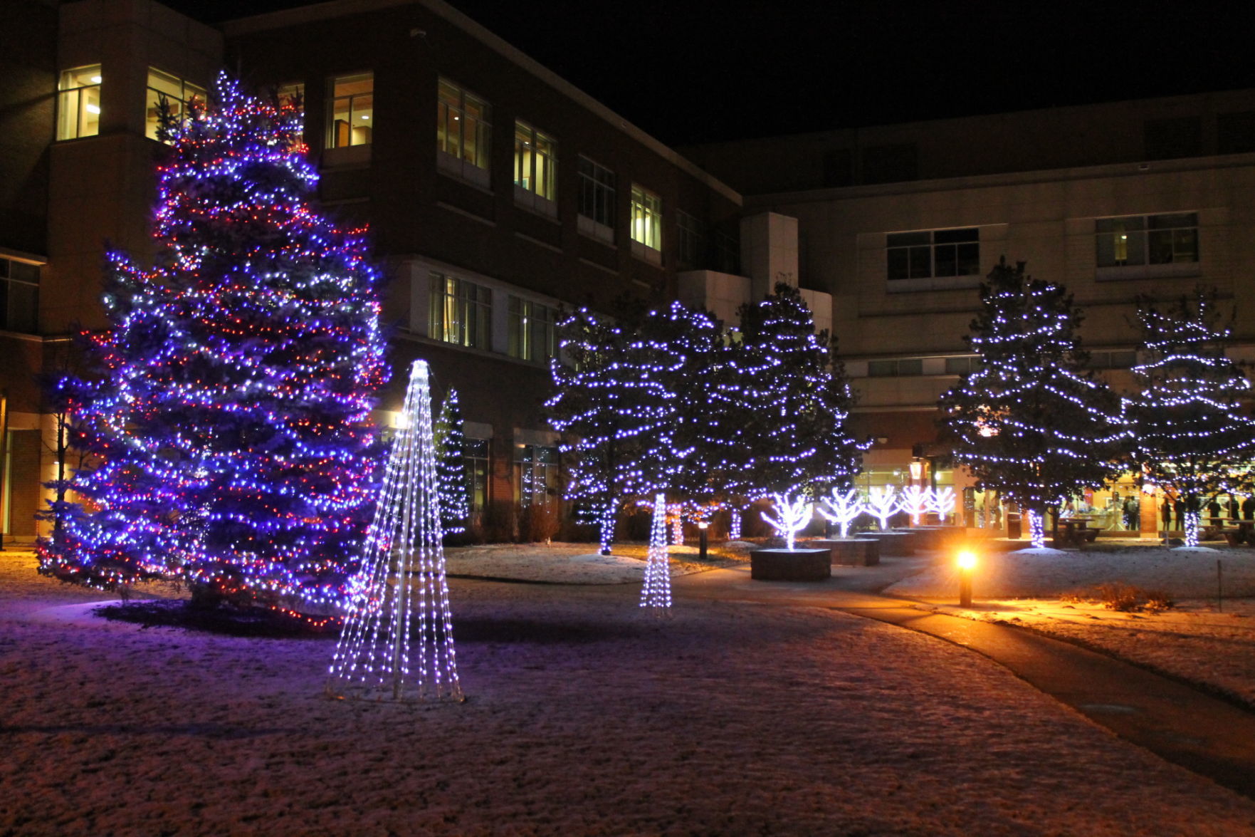Tree of Lights